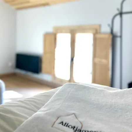 Cal Joanet A Err, Cerdanya, Puigcerda Appartement